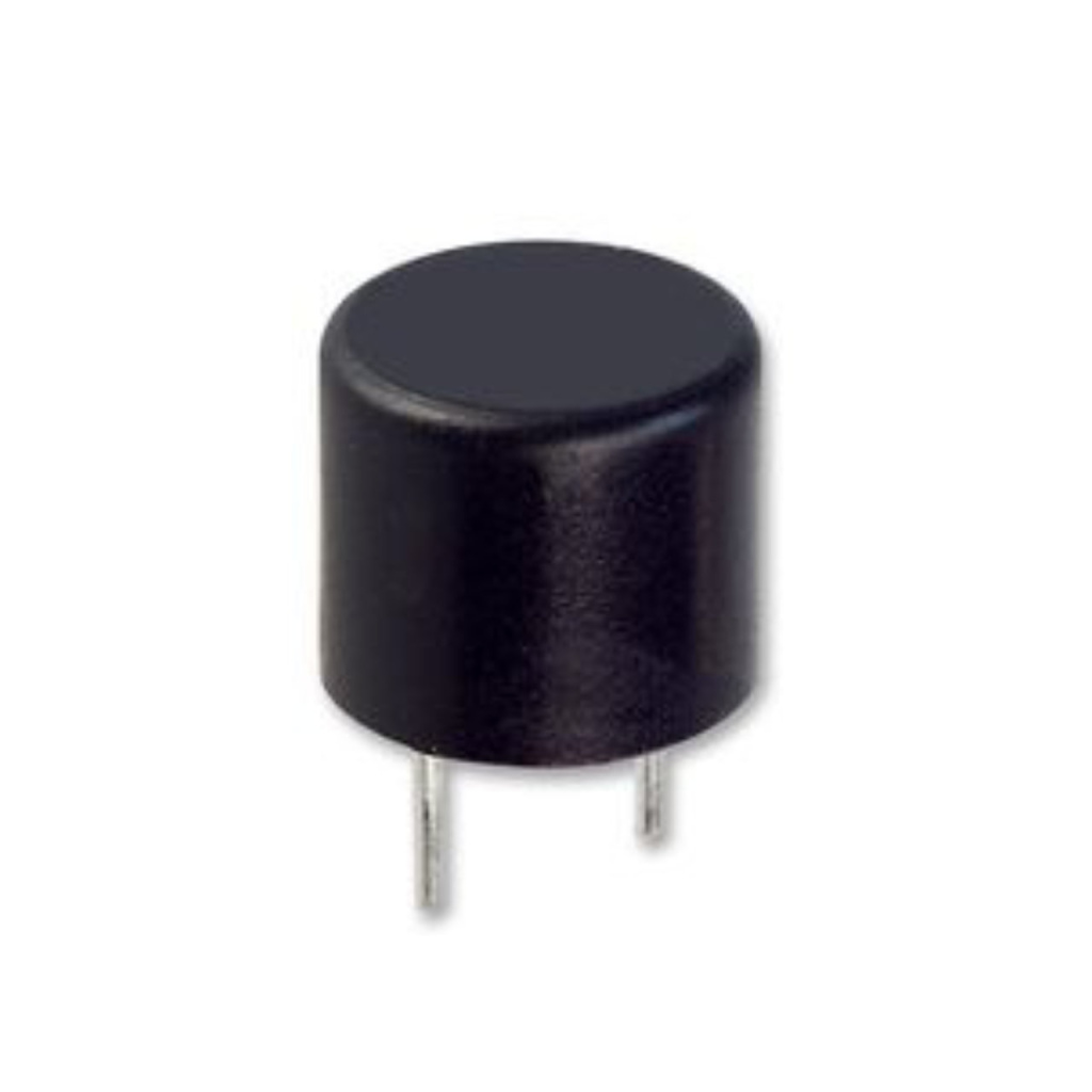 BBAtechniek - Printzekering T 3.15A (1x)