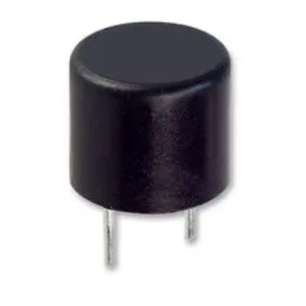 BBAtechniek - Printzekering T 1A TR5 (1x)