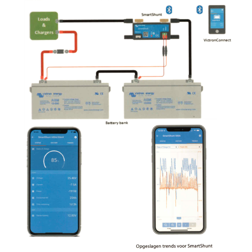 BBAtechniek - Victron SmartShunt 300A/50mV M8 IP65 (1x)